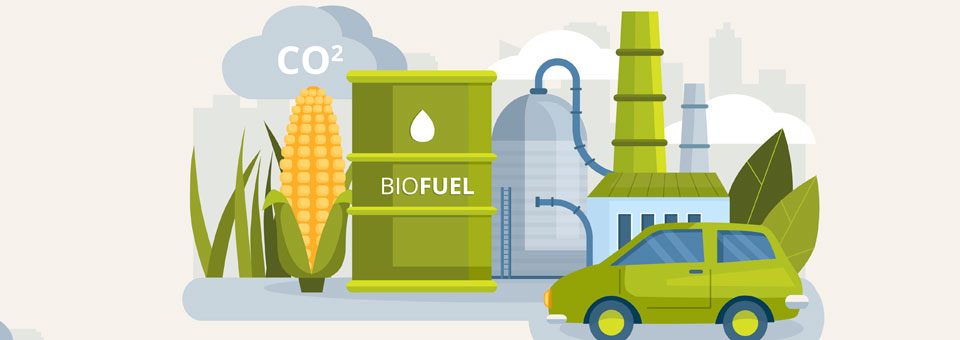 ¿Qué son los biocombustibles y cuáles son sus usos y aplicaciones en la logística?